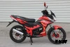 Мопед PROMAX STREET CROSS MAX 150 (49)