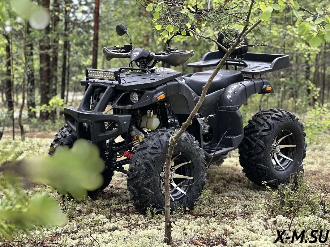Квадроцикл PROMAX 320 DOMINATOR (2025) Квадроцикл PROMAX 320 DOMINATOR (2025)