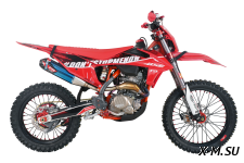 Эндуро / кроссовый мотоцикл BSE T9 Red Arrow  (TYX300SR)