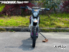 Мотоцикл (питбайк) PROMAX FIDET (ФАЙДЕТ) 190E PRO
