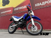 Мотоцикл IRBIS TTR 300XE (172FMM-5 Big Bore)